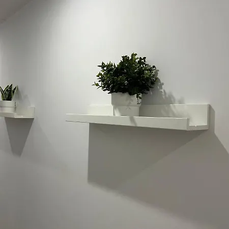 Vitrall Сан-Карлос-де-ла-Рапита